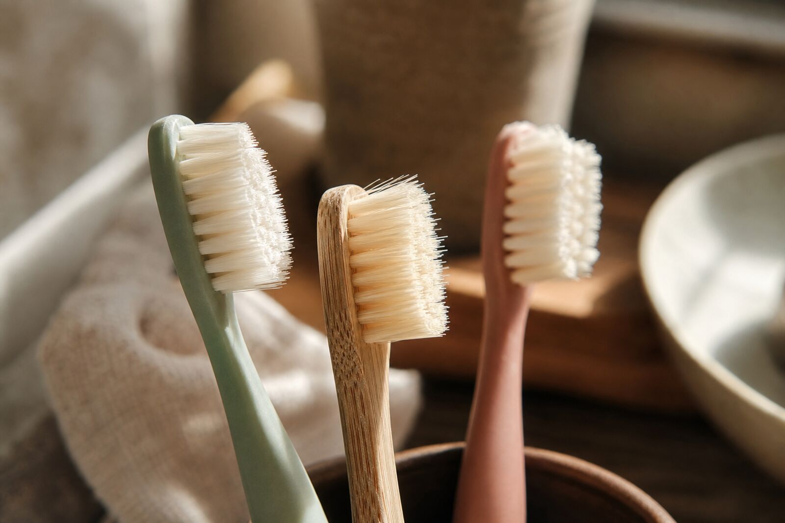 Macro shot of toothbrush bristles catching window light